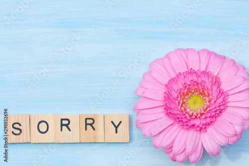 Word sorry and flower on a blue background.