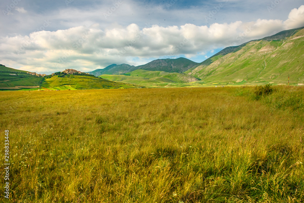 Campo di lupini a Castelluccio di Norcia Campo di lupini a Castelluccio di Norcia