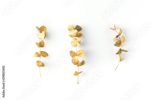 Gold eucalyptus branches isolated on white background