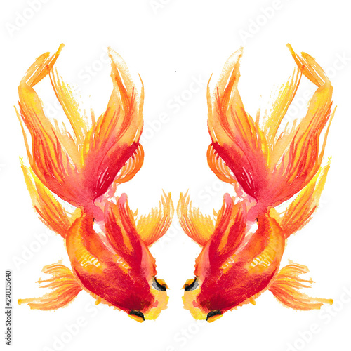 watercolor goldfish fish draw print