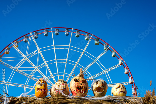  halloween pumpkin on blue sky background