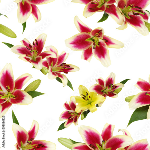 Seamless pattern with lily flowers and green bud © Alekss