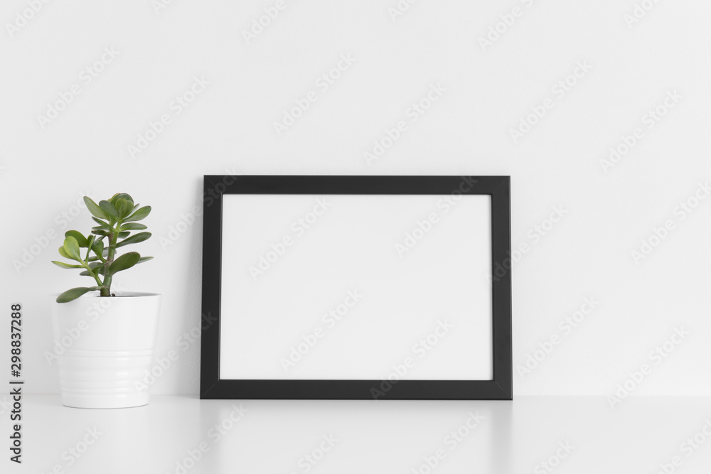 Black frame mockup with a crassula plant in a pot on a white table.Landscape orientation. Black frame mockup with a crassula plant in a pot on a white table.Landscape orientation.