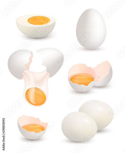 Farm eggs. Realistic chick eggs organic food yellow yolk protein breakfast omelette cracked shell vector pictures. Illustration farm egg, eggshell and yolk
