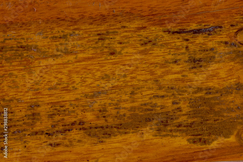 Wooden texture background. Abstract texture