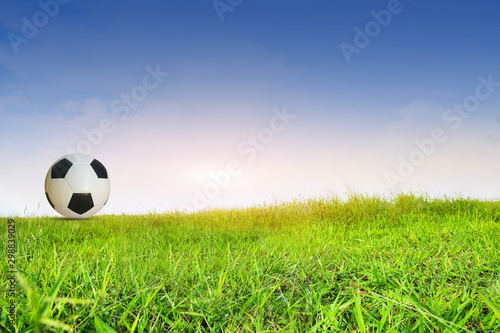 Football is in the field for the World Cup.
