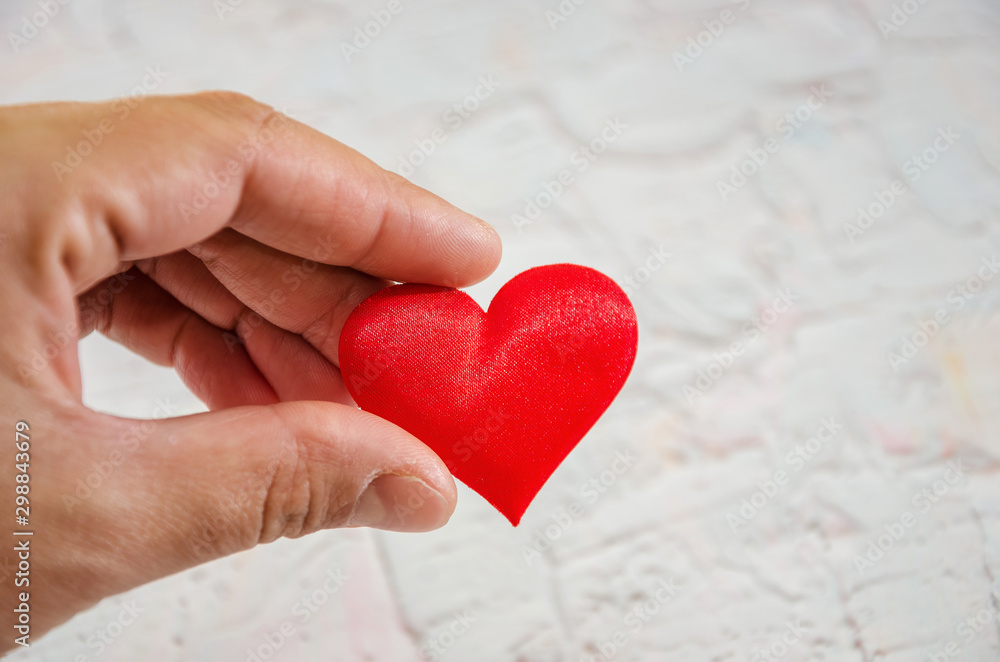 Fototapeta premium heart on hand for philanthropy concept / woman holding red heart in hands for valentines day or donate help give love warmth take care