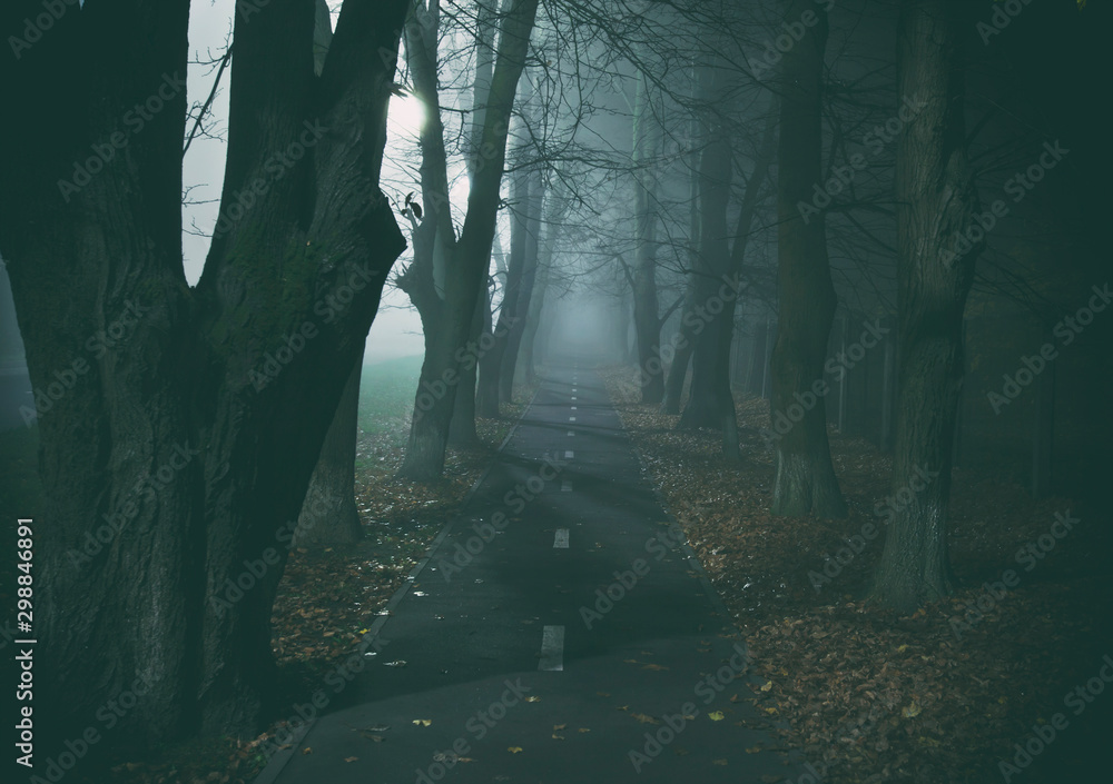 Naklejka premium The foggy asphalt road between trees in the night