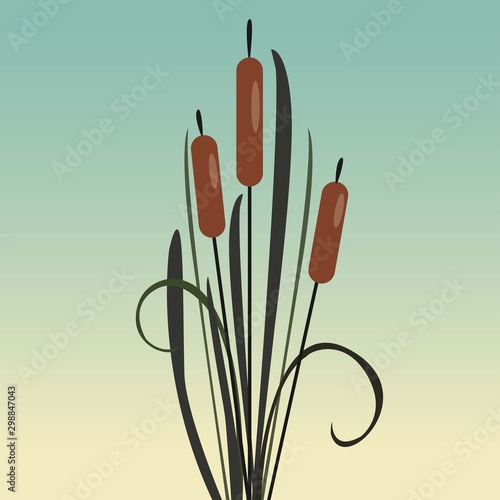 Bush of Swamp Reed on a Lake