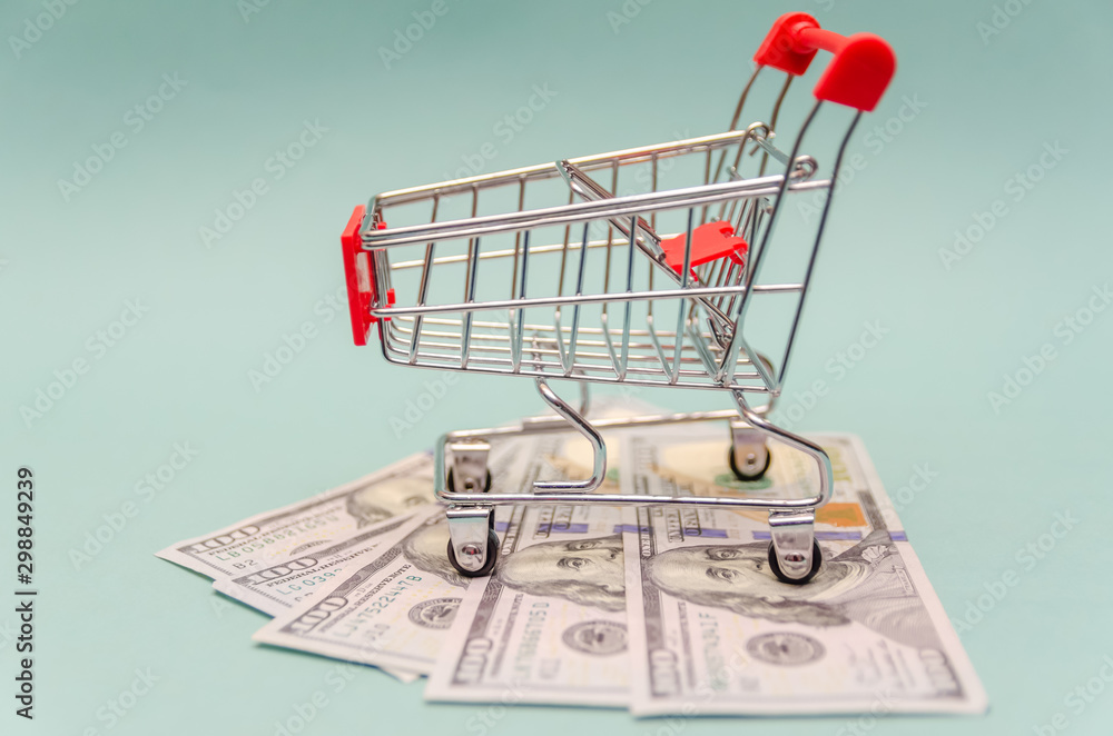 red shopping cart stands on dollar bills on a blue background. Concept of online shopping, online shopping