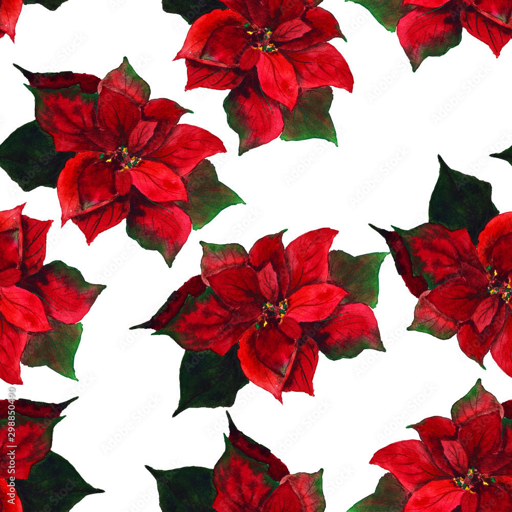 Poinsettia seamless pattern on white background as Christmas decoration
