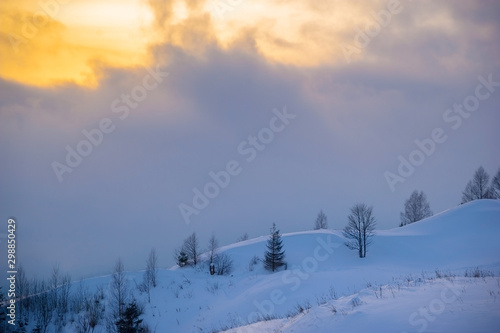 amazing winter mountain view. fir trees covered with snow. beautiful winter landscape