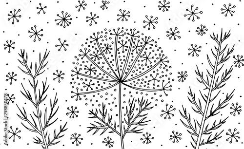 Dill - flower illustration. Black and white ink floral drawing. Coloring book for adults. Line art. Vector artwork