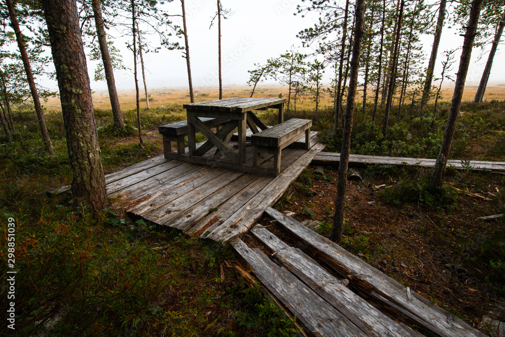 Outdoor wooden picnic table on edge of forest and misty meadow