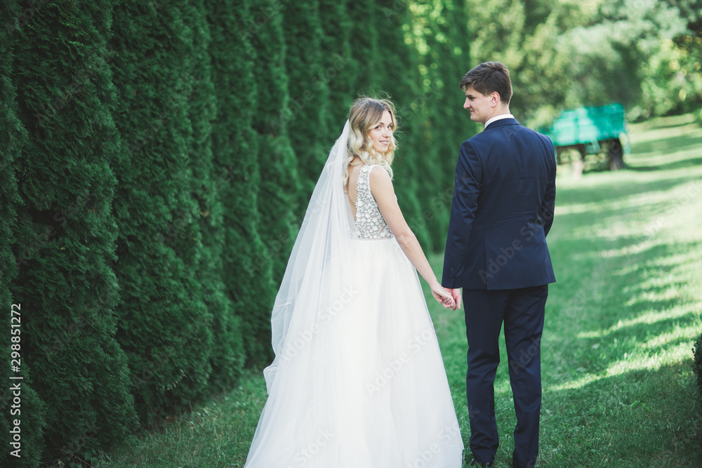 Romantic, fairytale, happy newlywed couple hugging and kissing in a park, trees in background