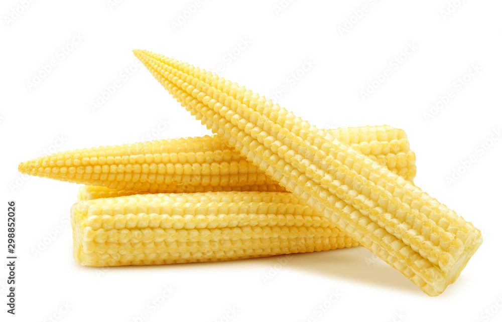 baby corn, isolated on white background, clipping path, full depth of field - obrazy, fototapety, plakaty 