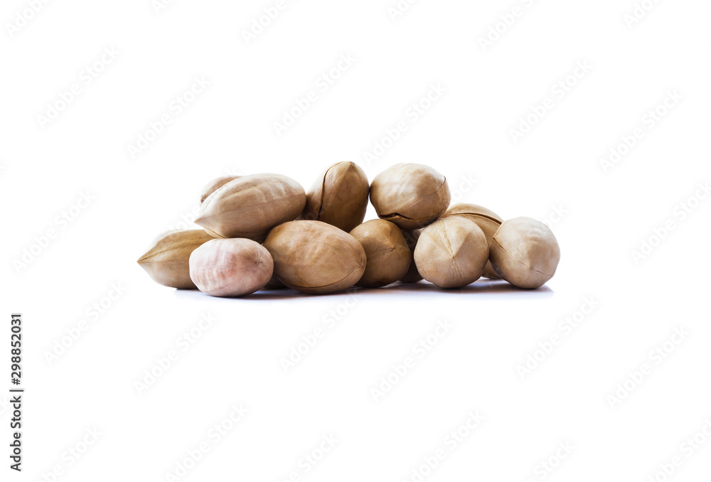 Studio shot of pecans on white background. Heap of pecans in nutshell isolated on white. Pecans with copy space for text. Nuts close-up. Studio shot of pecans on white background. Heap of pecans in nutshell isolated on white. Pecans with copy space for text. Nuts close-up.