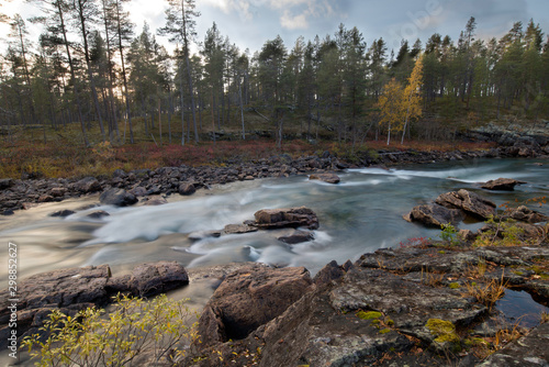 Autumn forest colors along rapids in river