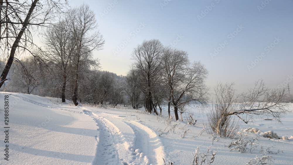 Obraz premium Winter landscape
