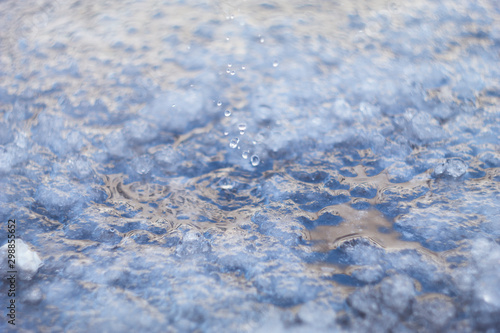 Drops of water amid melting snow photo