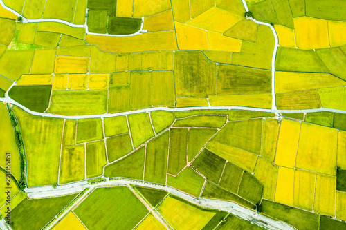 Aerial view of Beautiful Rice Fields in taitung . Taiwan. photo