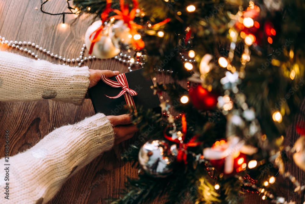 Obraz premium Christmas