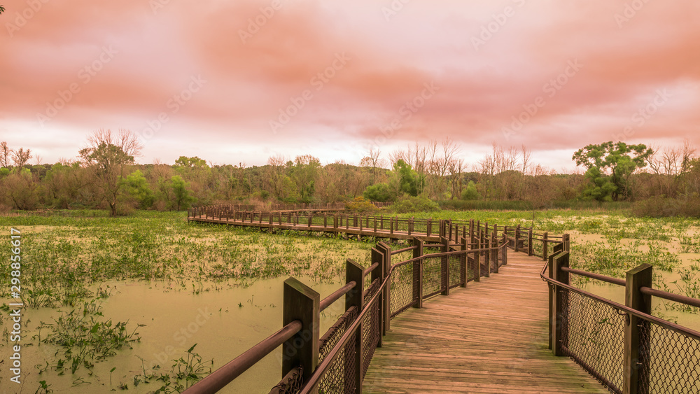 Obraz premium Perspective of a dramatic cloudy sky at sunset along a michigan preserve boardwalk in natural wilderness