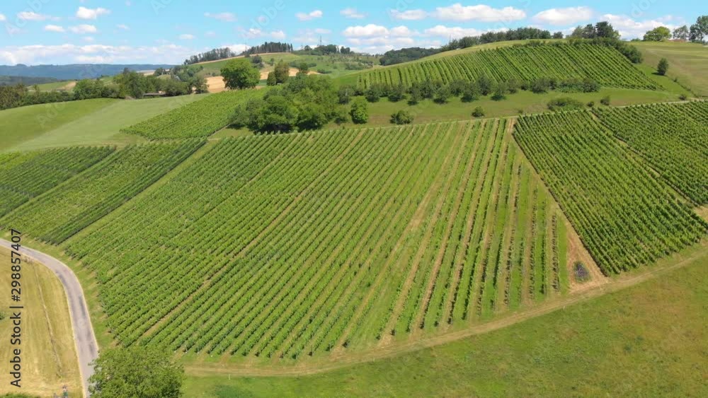 Toma aérea de gran variedad de cultivos Toma aérea de gran variedad de cultivos
