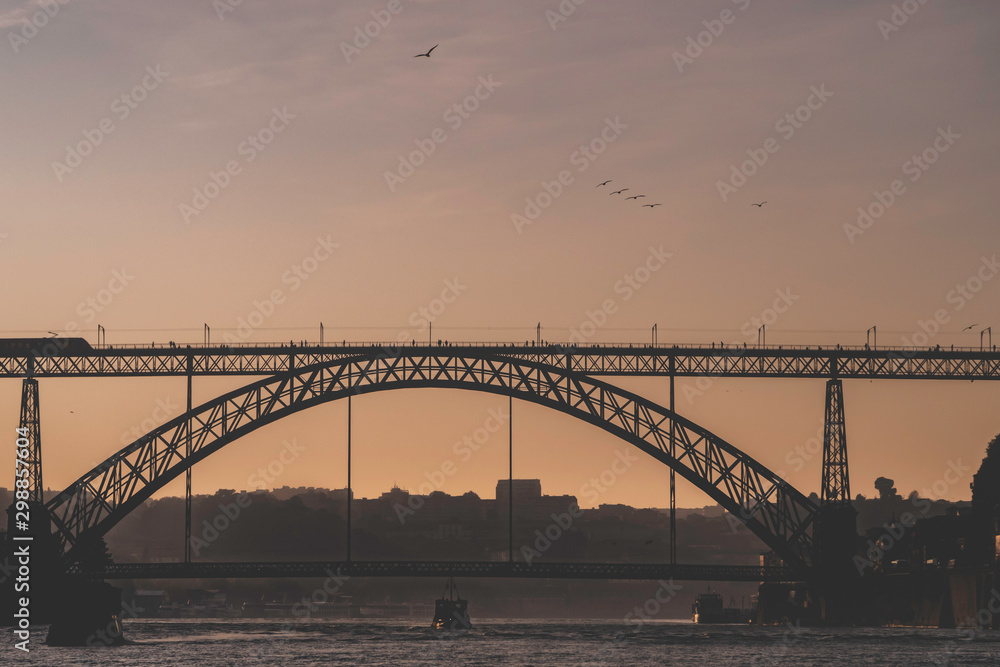 Luis I bridge with sunset and birds flying over in Porto, Portugal