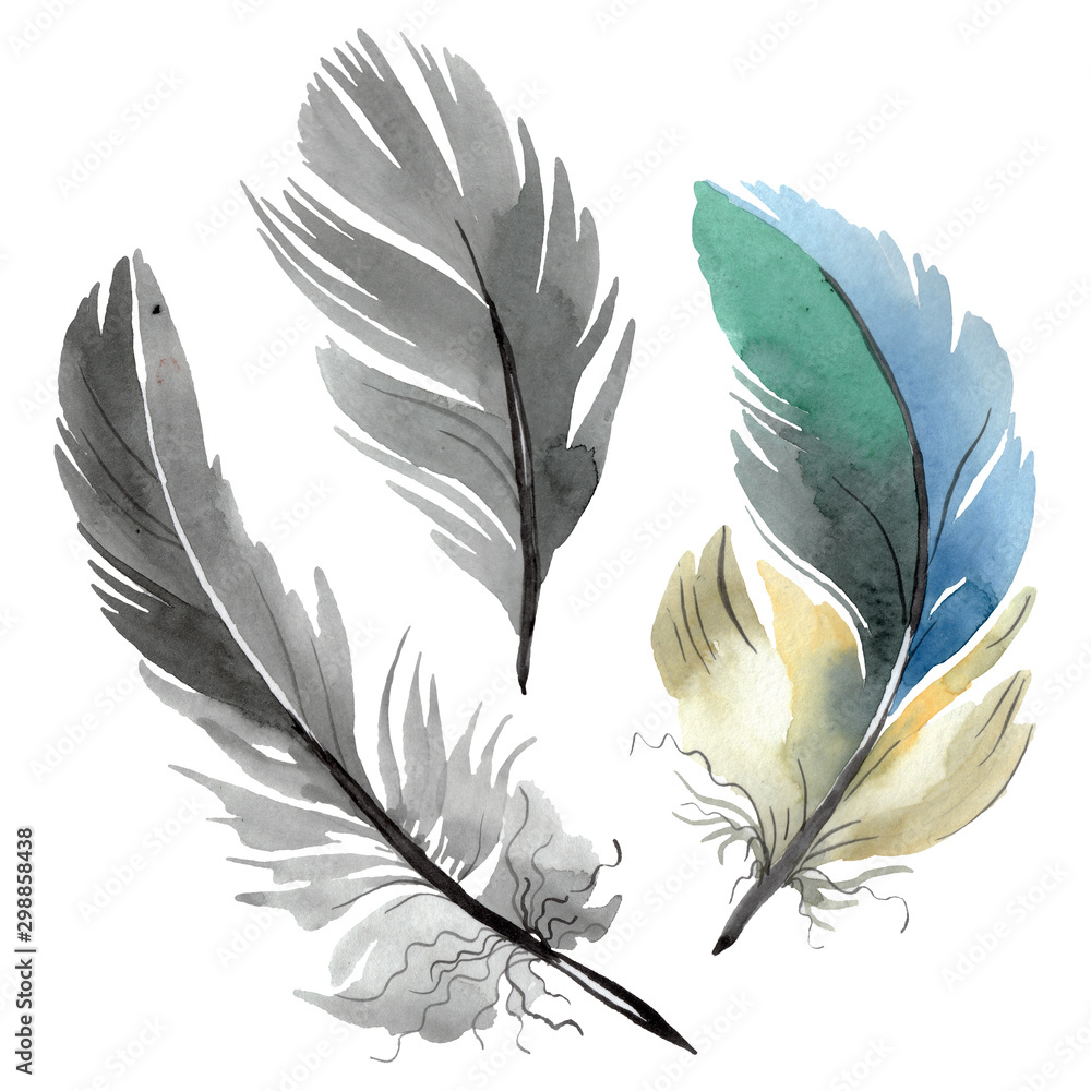 Obraz premium Colorful bird feather from wing isolated. Watercolor background illustration set. Isolated feather illustration element.
