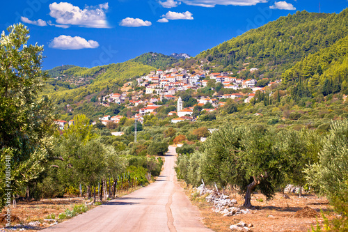 Foto Korcula. Village of Cara in green island landscape view,