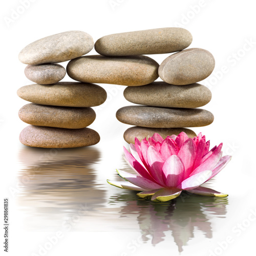 isolated image of lotus flower and stones