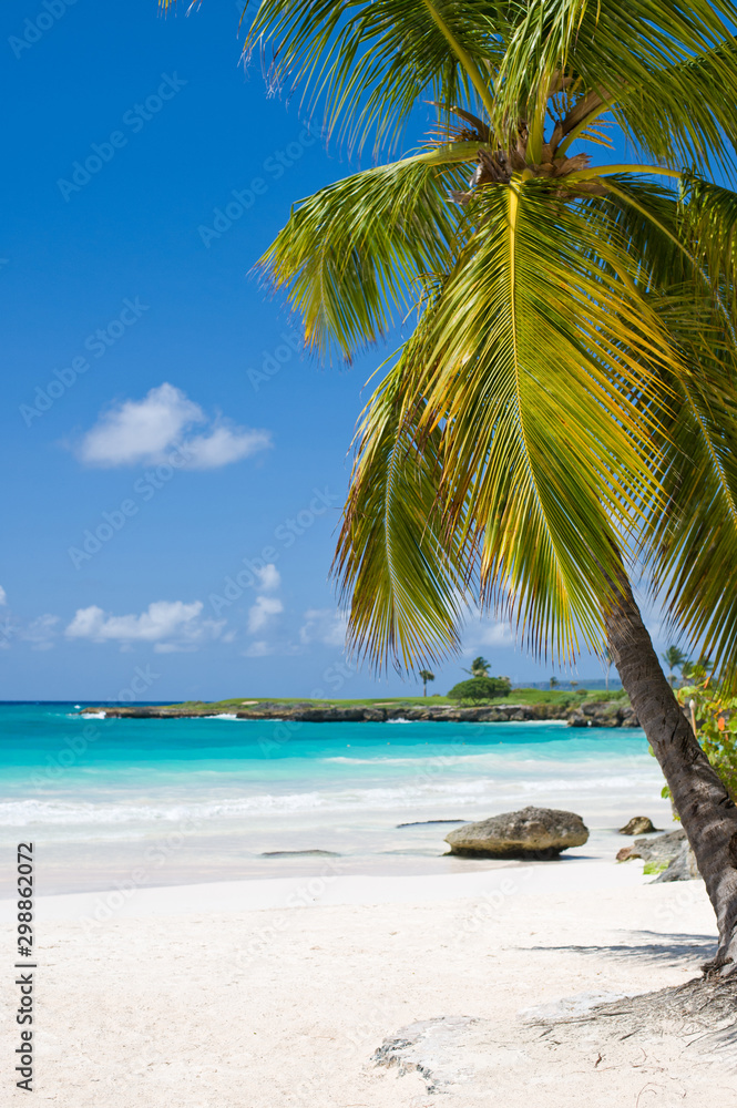 Fototapeta premium Palm Beach In Tropical Idyllic Paradise Island - Caribbean - Dominican Republic Punta Cana