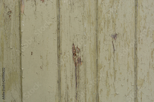 Close up of wooden fence panels texture, old english fence © Inga