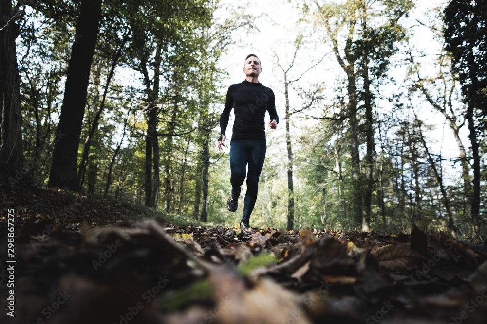 Jogger im Wald beim laufen Jogger im Wald beim laufen