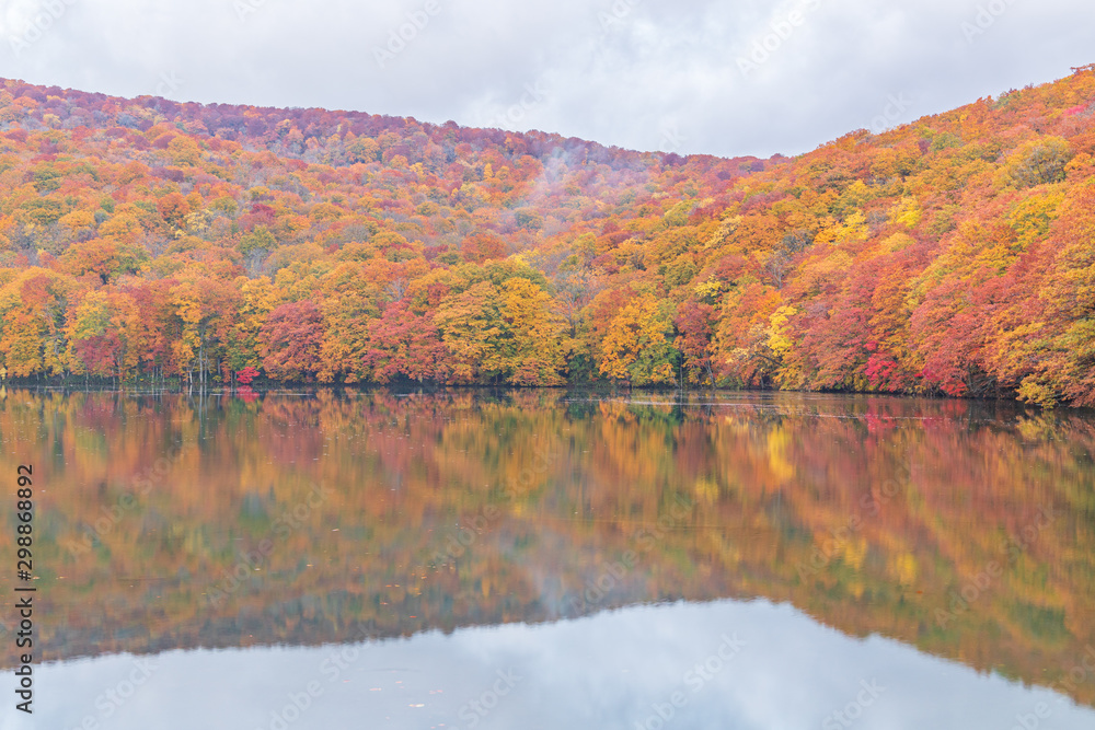 Towada Hachimantai National Park in autumn