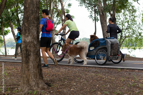 Dogs owner with Cargocycle with rain tent doing jogging exercise in the park. © bignai