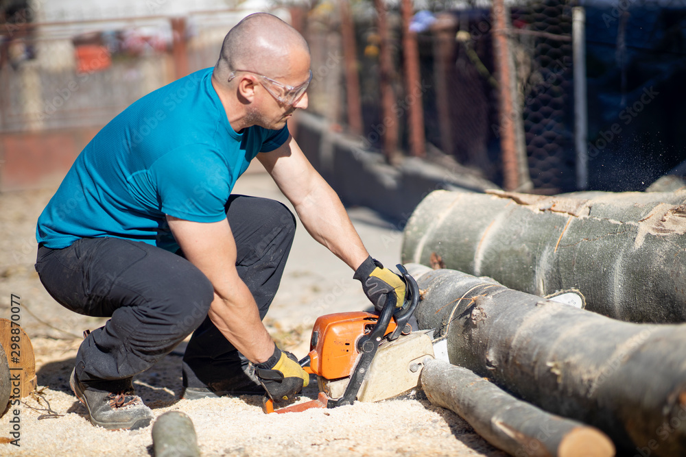 Man cut with saw. Dust and movements. Woodcutter saws tree with chainsaw on sawmill. lumberjack Man cut with saw. Dust and movements. Woodcutter saws tree with chainsaw on sawmill. lumberjack