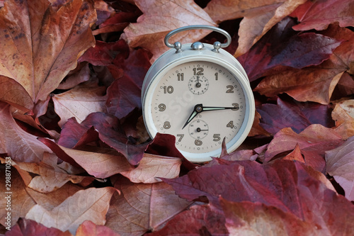 Vintage alarm-clock with colorful leaves of autumn