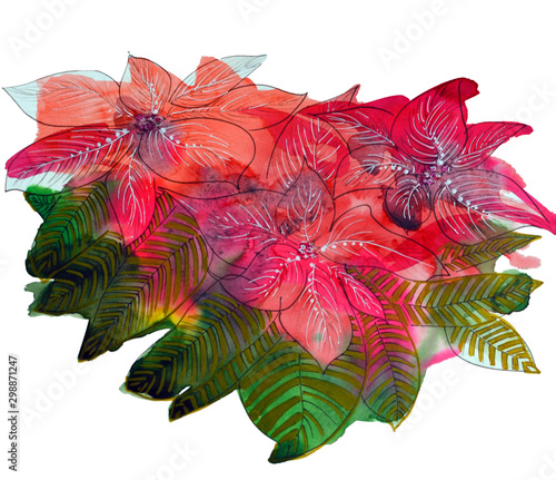 Poinsettia with Green Leaves and red flower Watercolor abstract Illustration