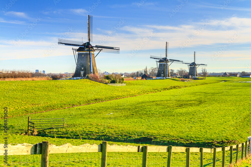 Rural landscape - view of green meadow on background of the mills on a sunny day, the Netherlands Rural landscape - view of green meadow on background of the mills on a sunny day, the Netherlands