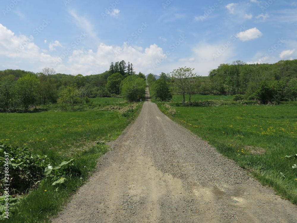 Fototapeta premium 初夏の北海道新得町の坂道