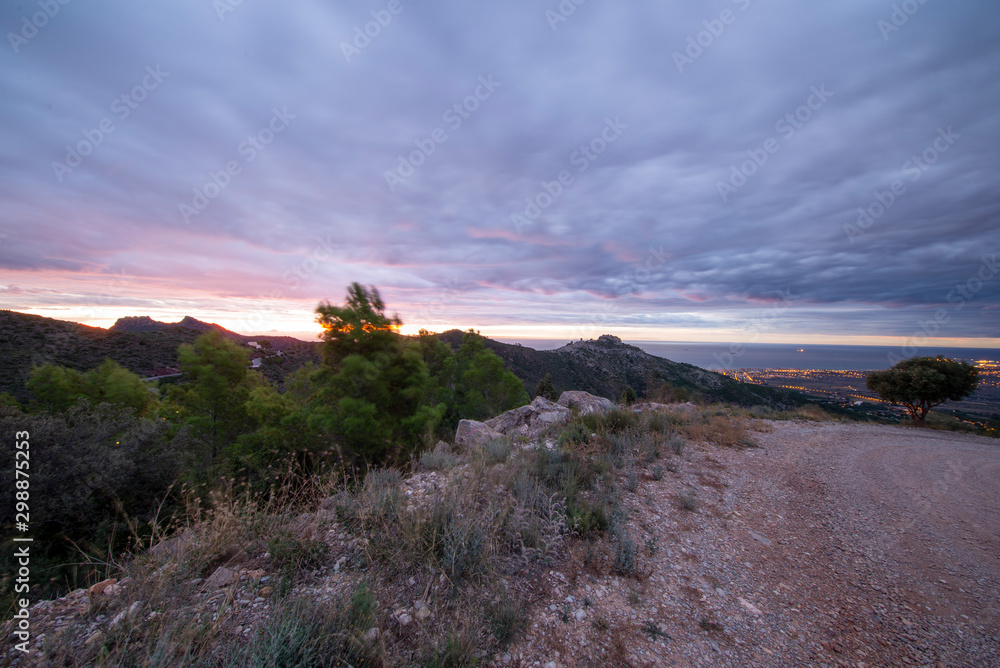 The orange blossom coast from the desert of palms at dawn, Benicassim The orange blossom coast from the desert of palms at dawn, Benicassim