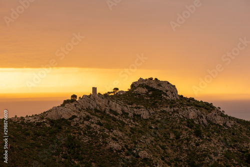 The orange blossom coast from the desert of palms at dawn, Benicassim