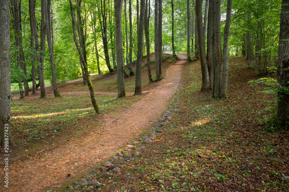 Fototapeta premium In the regular park on a summer day