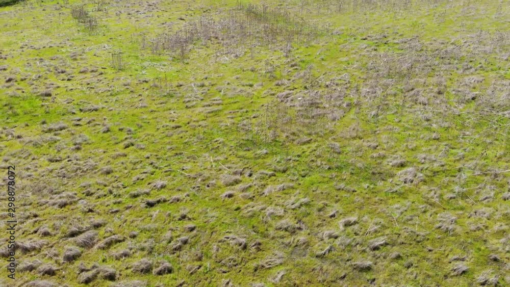 STP23_Flying over grassy field moving left tilting up getting higher revealing a grassy field with hills and a path stretching for miles. STP23_Flying over grassy field moving left tilting up getting higher revealing a grassy field with hills and a path stretching for miles.