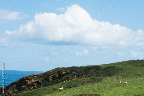 landscape with blue sky and clouds