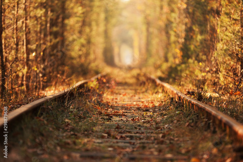Tunnel of Love. Tunnel of Love in Ukraine. A railway in the autumn forest tunnel of love. Old mysterious forest.