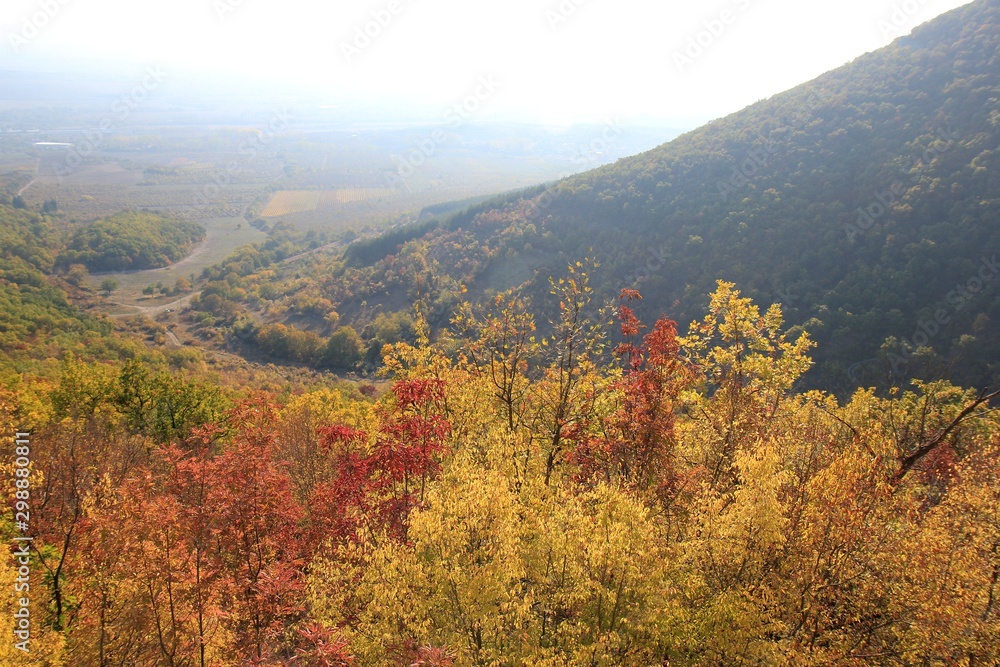 View of the autumn forest from the height of Hankrumski manastir (Shumen plateau, Bulgaria)