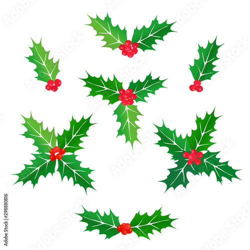 Set of elements for design. Variants of Colored Christmas leaves and holly berries. Isolated vector on a white background.